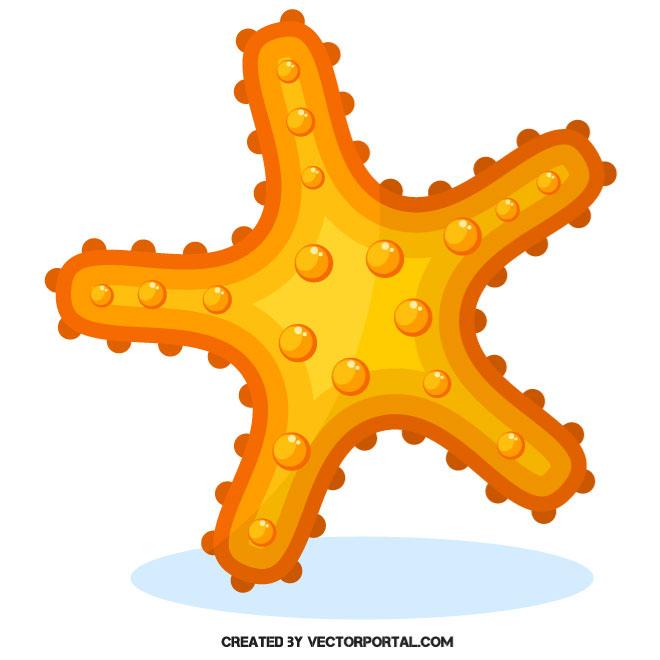 660x660 Starfish Vector Image