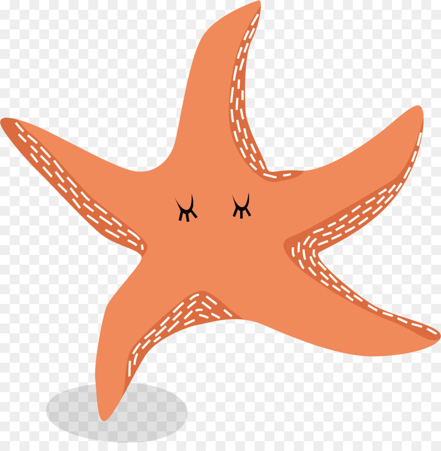900x920 Download Starfish Euclidean Vector Red Starfish Vector