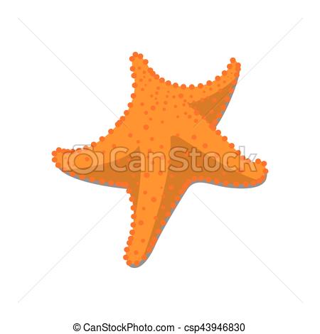 450x470 Isolated Starfish Sketch. Isolated Sketch Of A Starfish