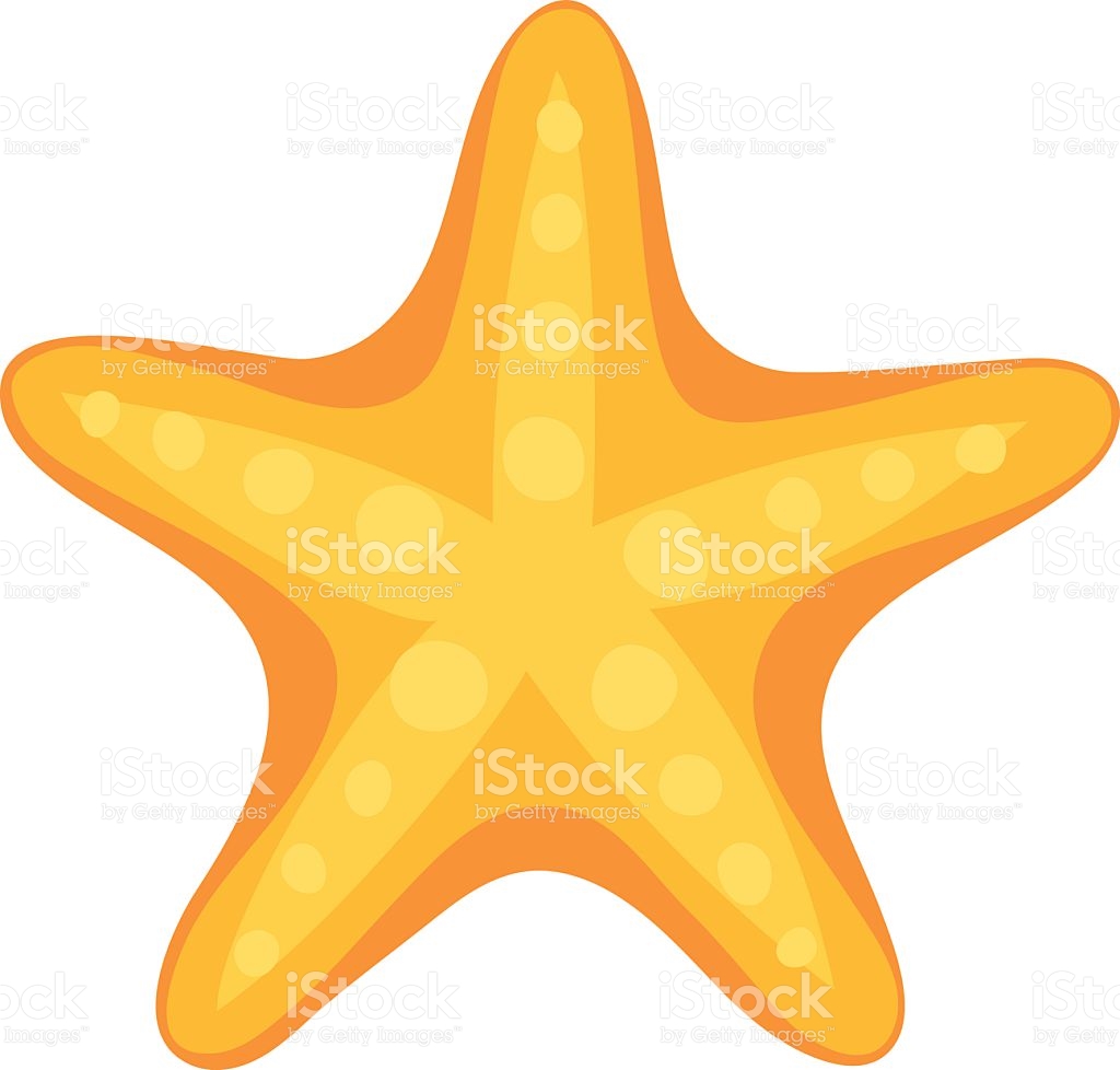 1024x978 Sea Starfish Clipart, Explore Pictures