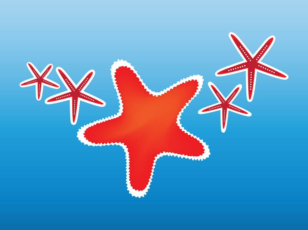 1024x765 Starfish Clip Art Vector Art Amp Graphics