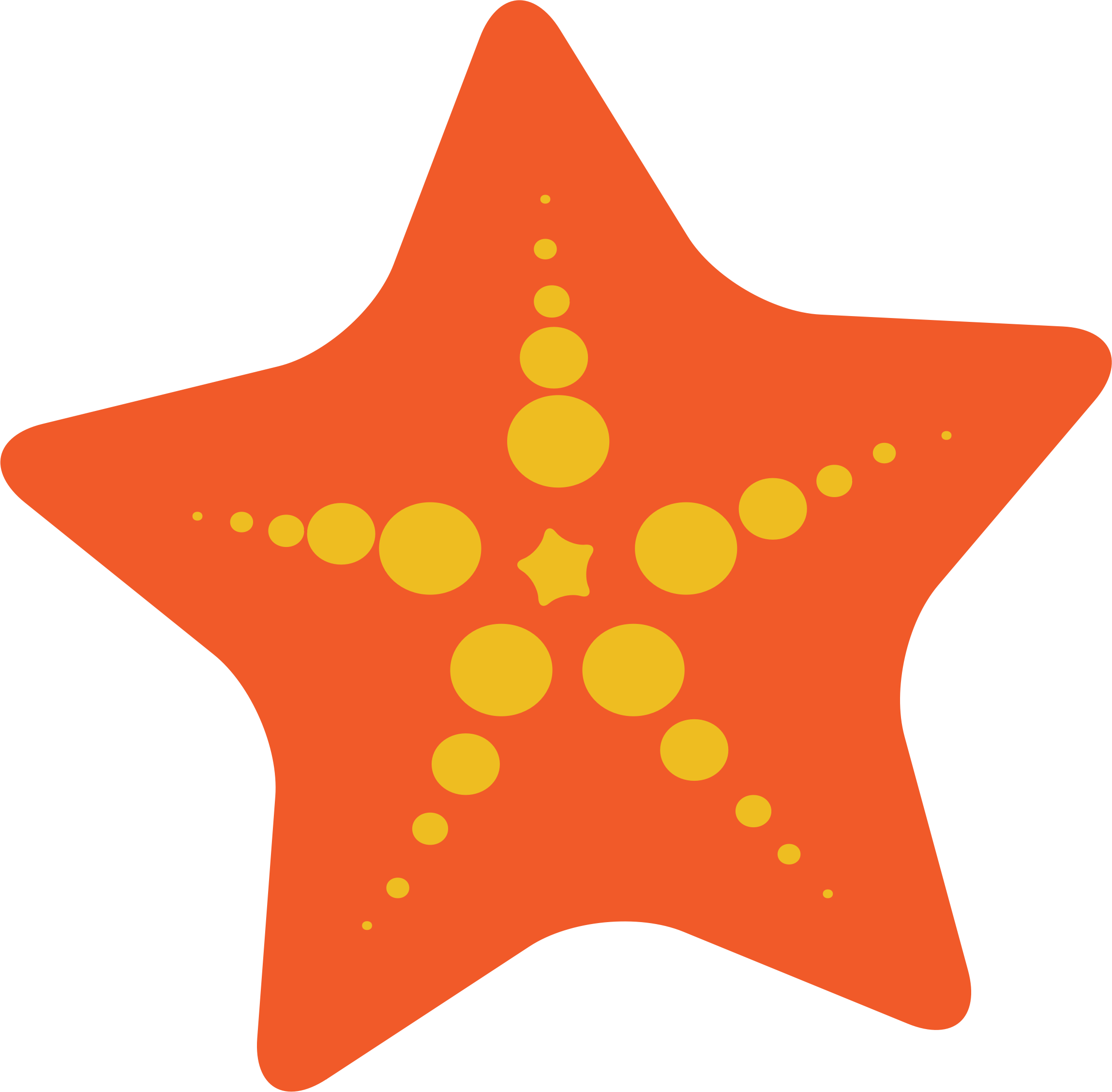 2298x2256 Collection Of Free Mermaid Vector Starfish. Download On Ubisafe