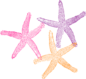 299x273 Starfish Vector