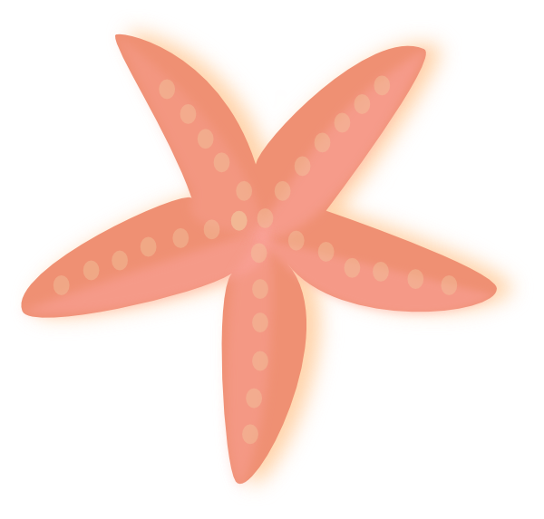 600x573 Collection Of Free Starfish Vector Coral Colored. Download On Ubisafe