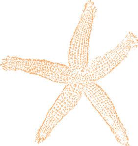 282x300 Orange Starfish For Wedding Clip Art