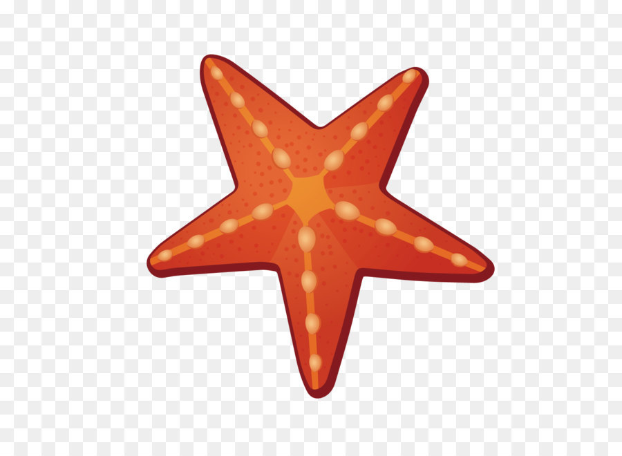 900x660 Paper Lighting Color Orange