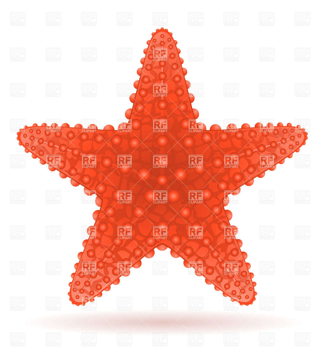 1086x1200 Red Starfish Vector Image Vector Artwork Of Plants And Animals