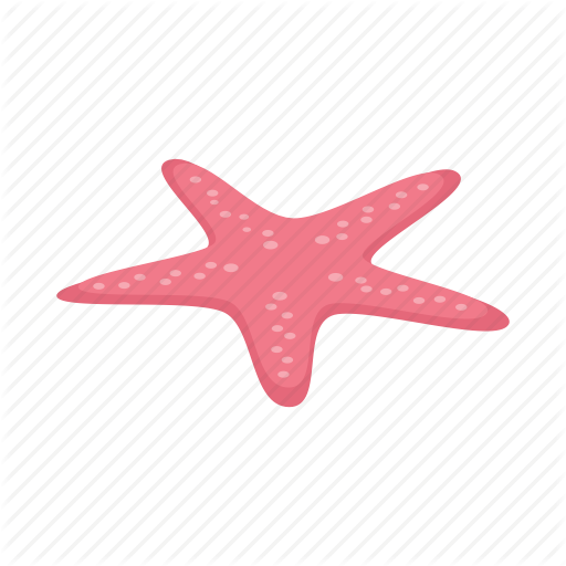 512x512 Collection Of Free Starfish Vector Shell Sea. Download On Ubisafe