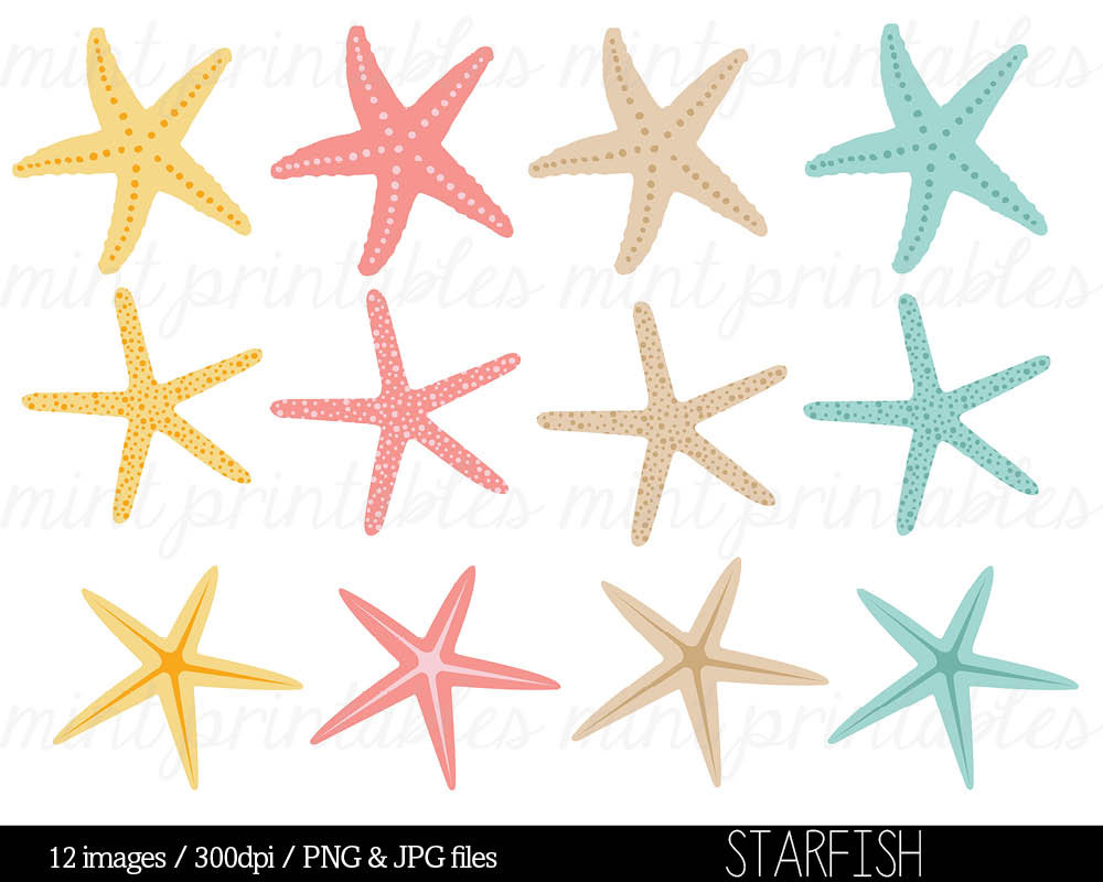 1000x800 Starfish Clipart Coral
