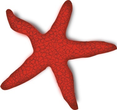 381x357 Starfish Free Vector Download (146 Free Vector) For Commercial Use