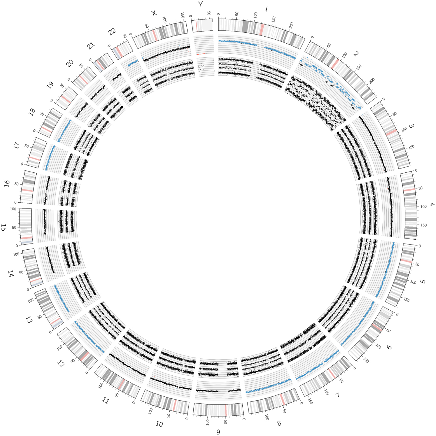 1439x1439 Frontiers Ultra High Density Snparray In Neuroblastoma Molecular