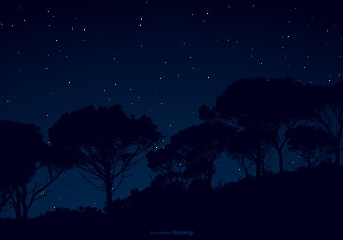 700x490 Starry Night Sky Illustration