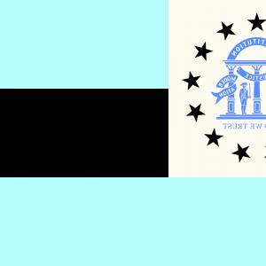 300x300 Photostock Vector Georgia State Vector Flag Or Coat Of Arms