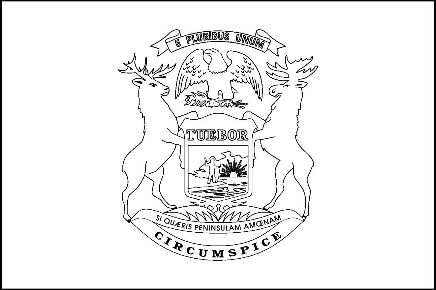 1439x960 Michigan State Flag