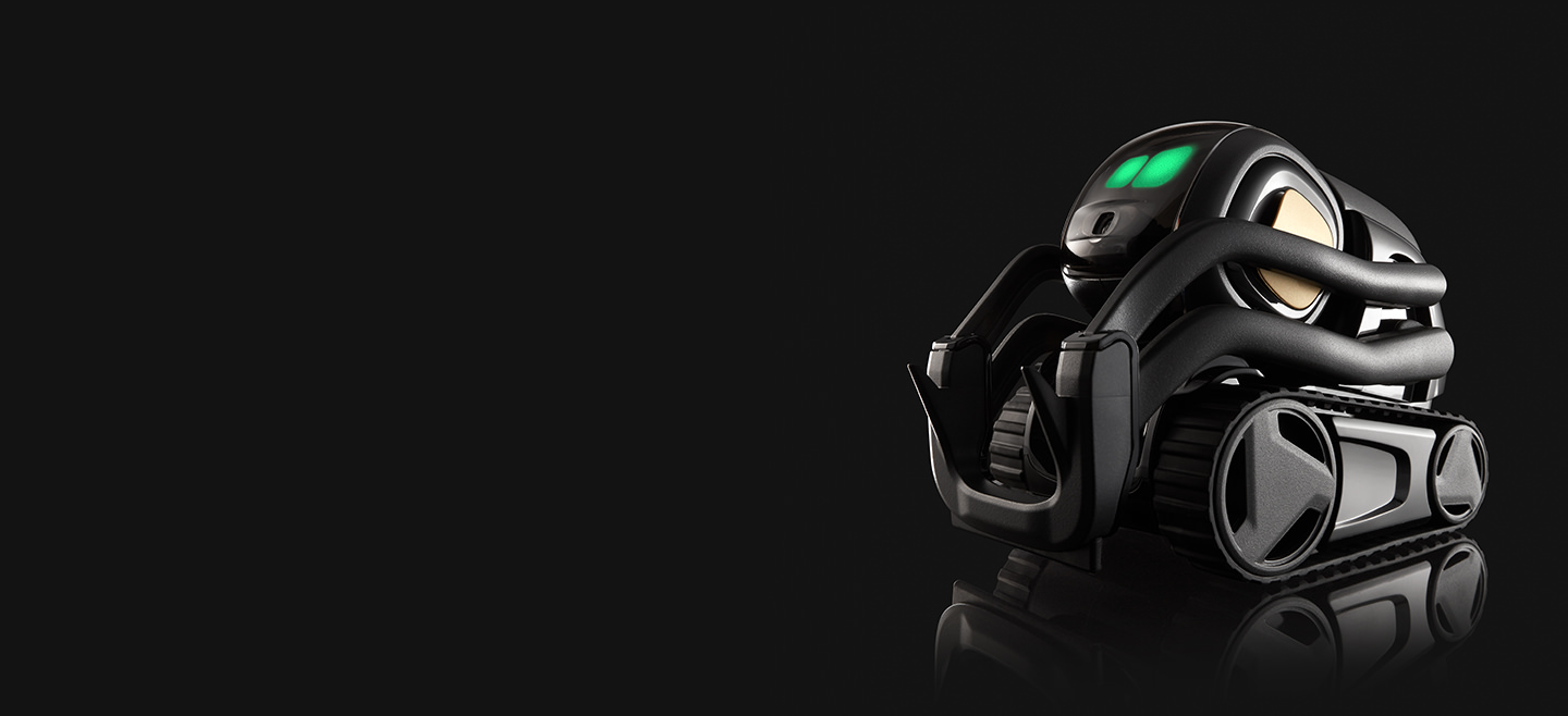 1440x658 Show Now Vector