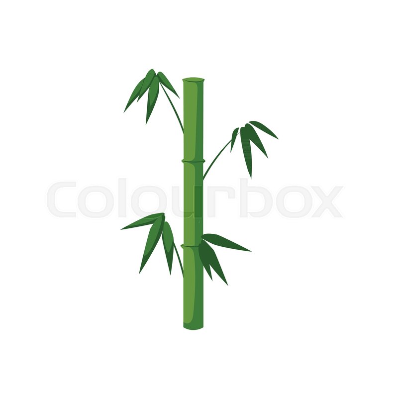 800x800 Vector Flat Cartoon Style Japan Symbols Concept. Green Bamboo