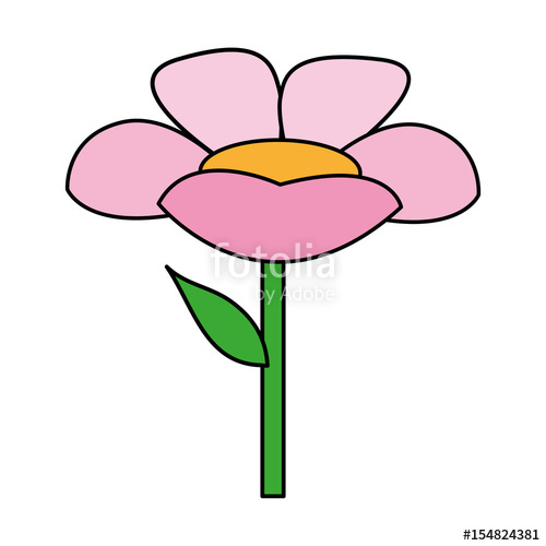 500x500 Color Image Cartoon Flower With Stem And Leaf Vector Illustration