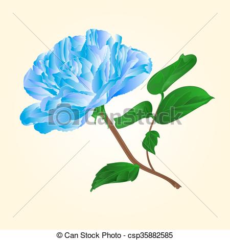 450x470 Blue Rose Stem Vector.eps. Blue Rose Stem With Leaves And Blossoms