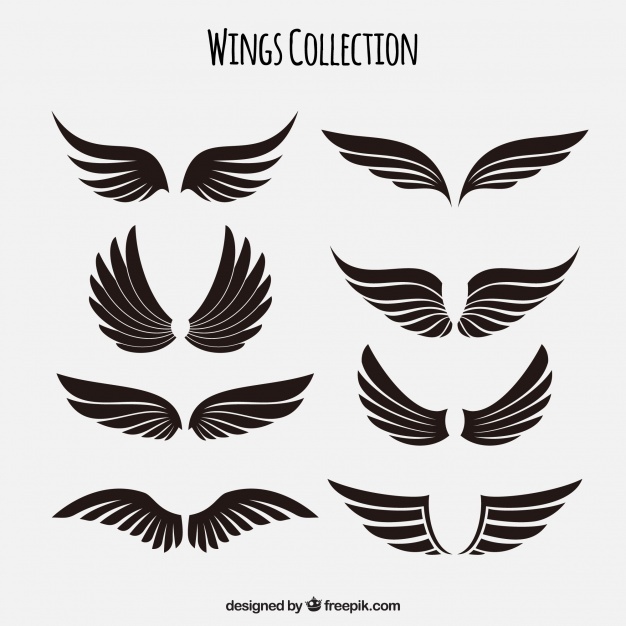 626x626 Wings Vectors, Photos And Psd Files Free Download