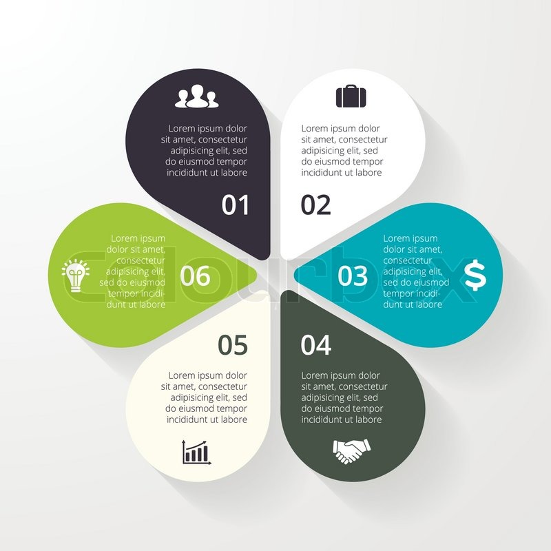 800x800 Vector Circle Infographic. Template For Diagram, Graph