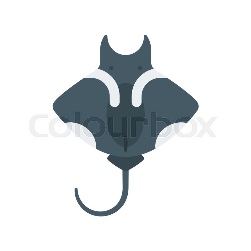 800x800 Vector Flat Style Illustration Of Stingray. Icon For Web. Isolated