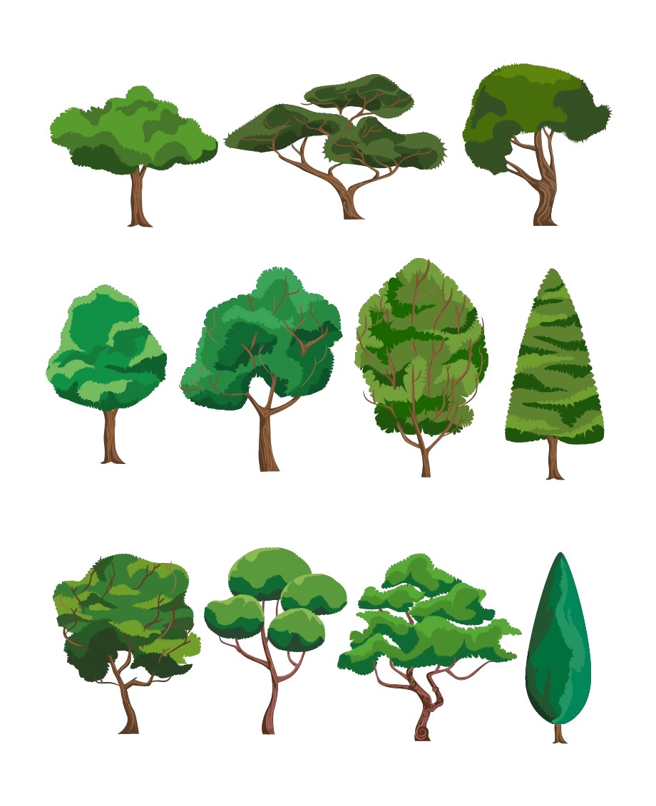 920x1131 Stock Vector Graphics Set Trees Pack All Vectors 11