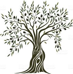 236x239 Olive Tree Vector Illustration In 2018 Stencils