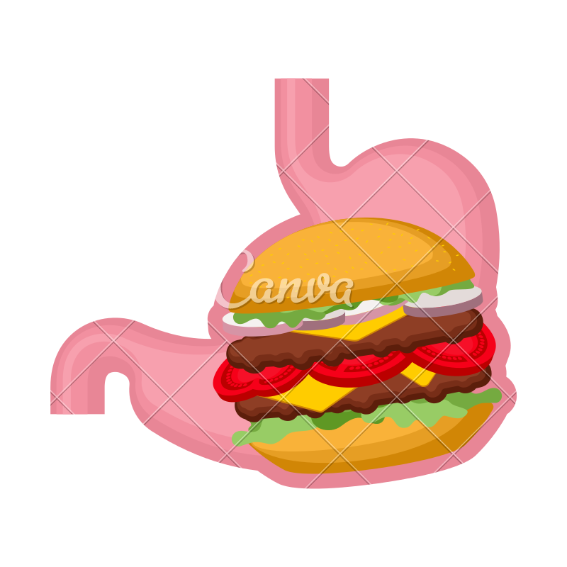 800x800 Burger In Stomach Vector Icon Illustration