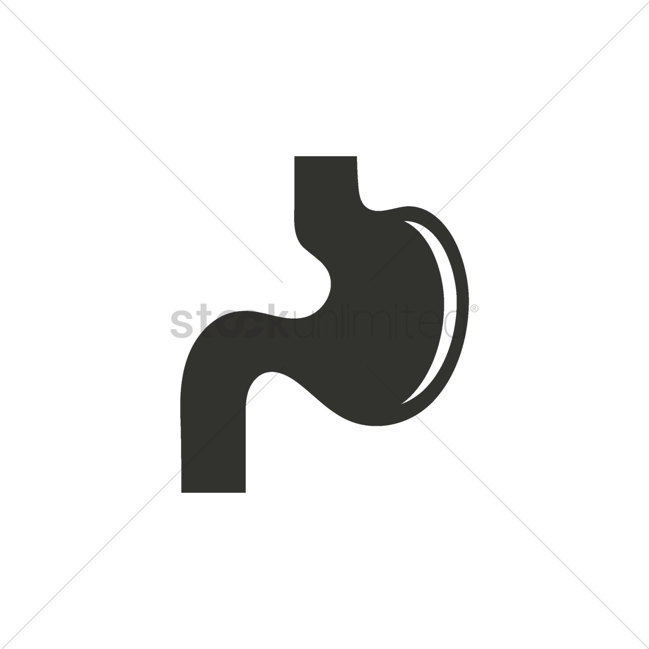 1300x1300 Free Stomach Vector Image