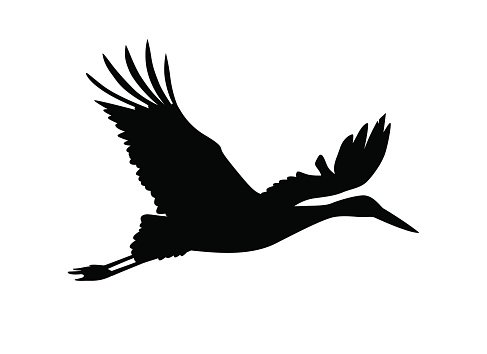 Stork Vector at GetDrawings | Free download