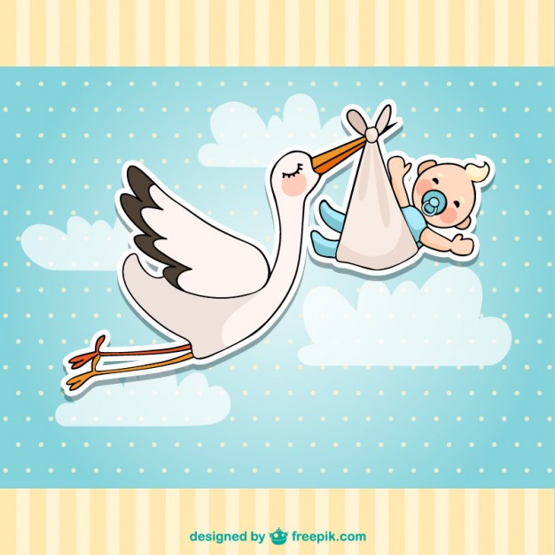 626x626 Stork Vectors, Photos And Psd Files Free Download
