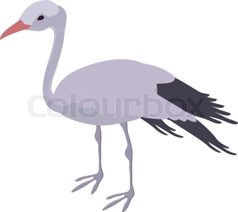 800x712 Stork Icon. Isometric Illustration Of Stork Vector Icon For Web