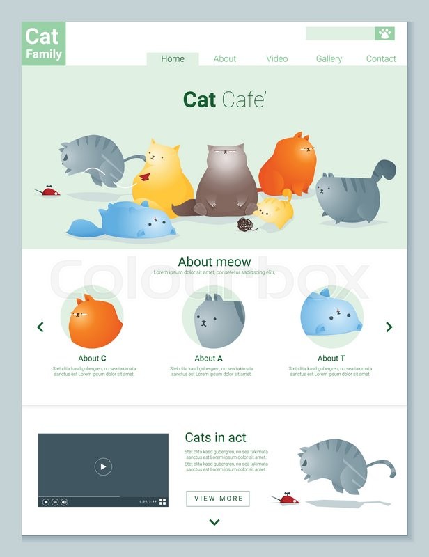 616x800 Animal Website Template Banner And Infographic With Cat Story
