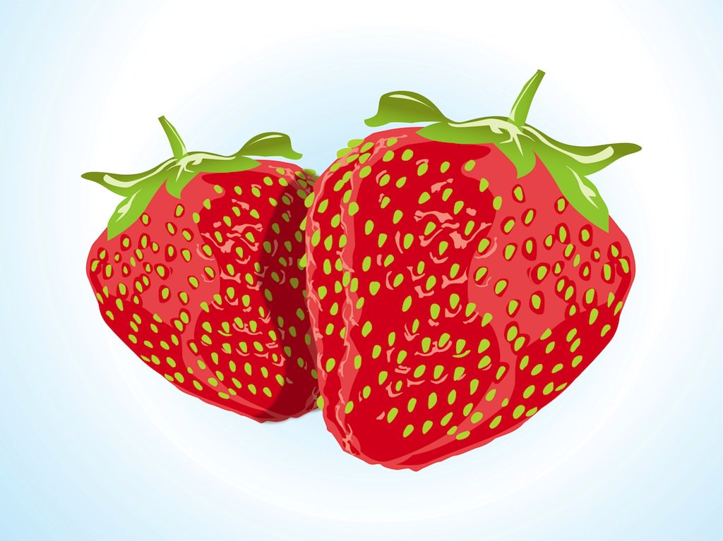 1024x767 Strawberry Vector Vector Art Amp Graphics
