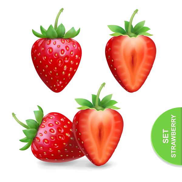 600x600 Realistic Strawberry Illustration Vectors Free Download