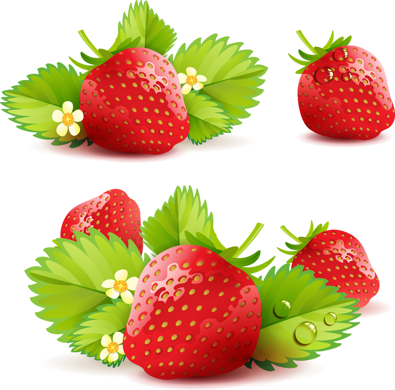 800x790 Strawberry Theme Background