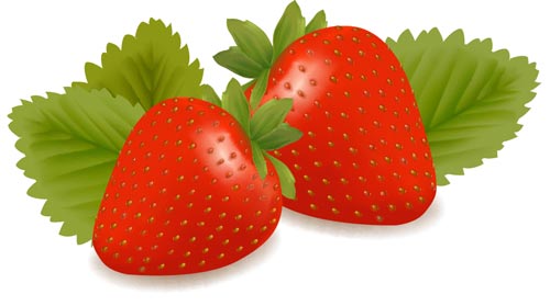 500x279 Fresh Fruits And Berries Vectors