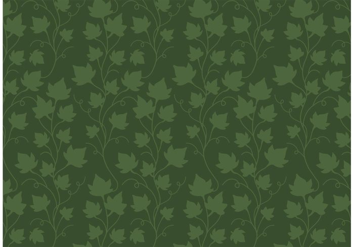 700x490 Ivy Vine Pattern Free Vector 114007