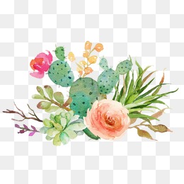 Succulent Vector at GetDrawings | Free download