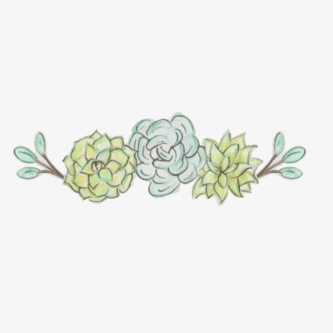 650x650 Vector Hand Drawn Succulents, Vector, Hand Painted, Succulents Png