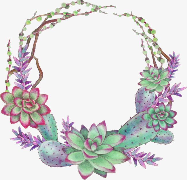 650x626 Vector Illustration Painted Succulents, Vector, Hand Painted