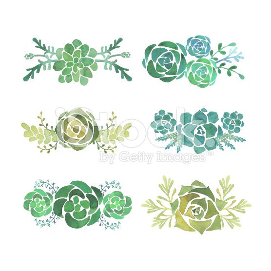 556x556 Watercolor Succulent Set Hand Painted On White Background Tattoo