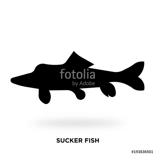 500x500 Sucker Fish Silhouette Stock Image And Royalty Free Vector Files