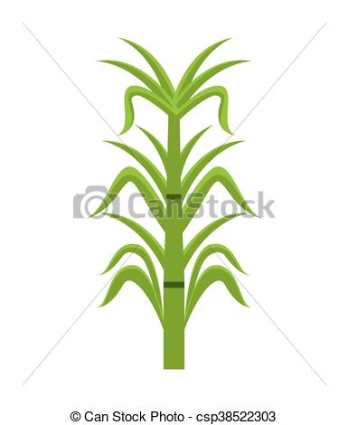 385x470 Sugar Cane Isolated Icon Design, Vector Illustration Graphic.