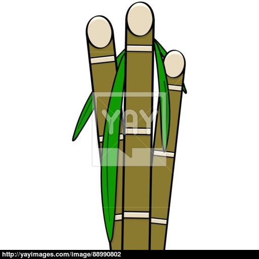 512x512 Sugar Cane Vector