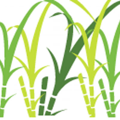 400x400 (@sugarcaneorg) Twitter