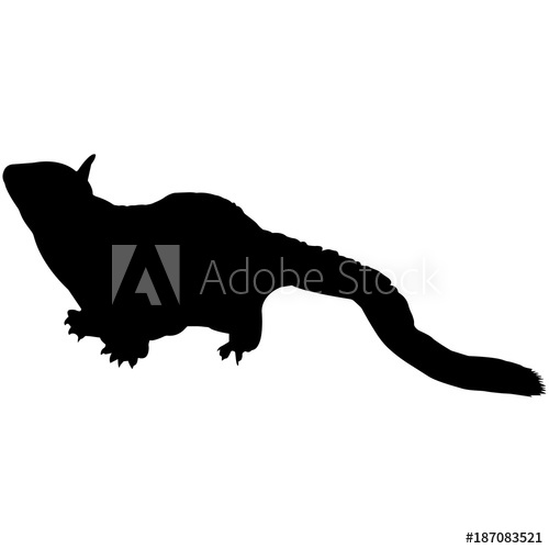 500x500 Sugar Glider Silhouette Vector Graphics