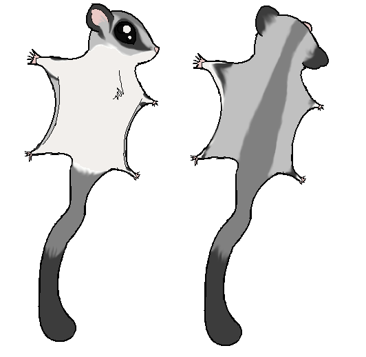 532x518 Sugar Glider Clipart Cartoon