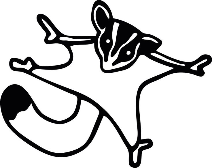 736x582 Sugar Glider Clipart