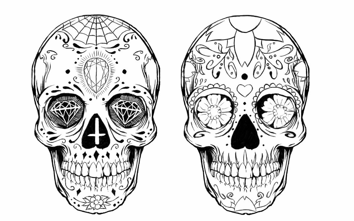 1131x707 Pictures Of A Sugar Skull 2564569